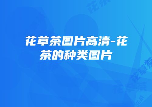 花草茶图片高清-花茶的种类图片