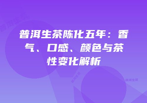 普洱生茶陈化五年：香气、口感、颜色与茶性变化解析
