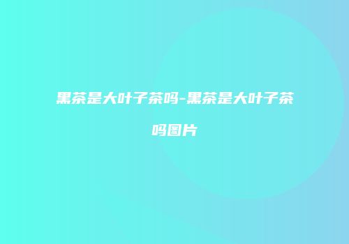 黑茶是大叶子茶吗-黑茶是大叶子茶吗图片