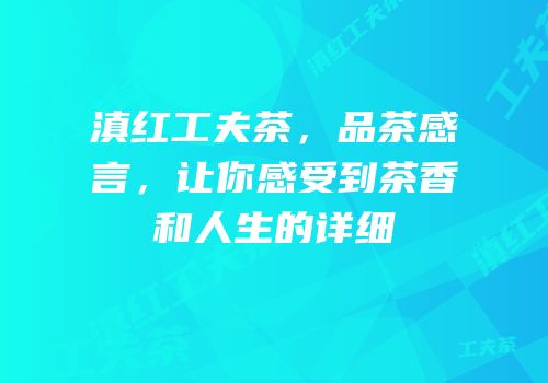 滇红工夫茶，品茶感言，让你感受到茶香和人生的详细