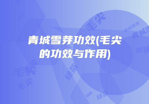 青城雪芽功效(毛尖的功效与作用)