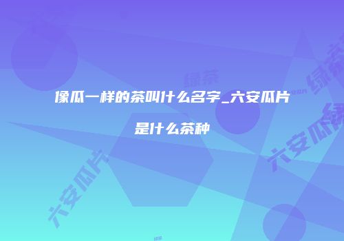 像瓜一样的茶叫什么名字_六安瓜片是什么茶种