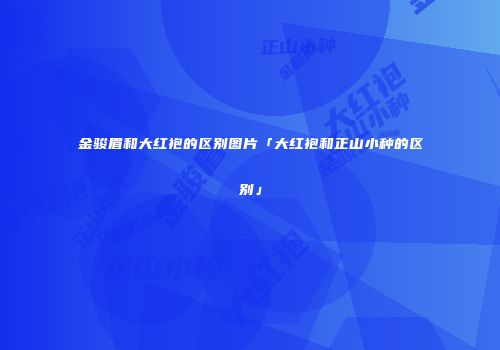金骏眉和大红袍的区别图片「大红袍和正山小种的区别」