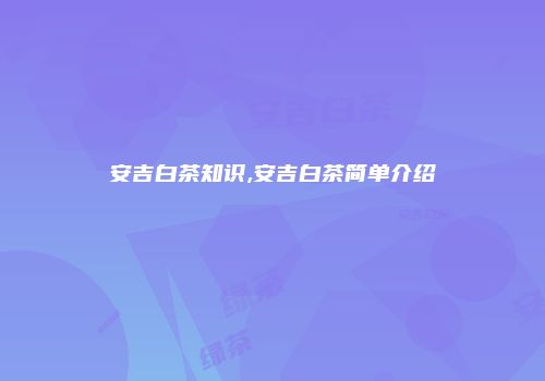 安吉白茶知识,安吉白茶简单介绍