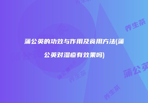 蒲公英的功效与作用及食用方法(蒲公英对湿疹有效果吗)