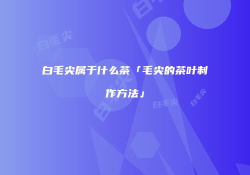 白毛尖属于什么茶「毛尖的茶叶制作方法」