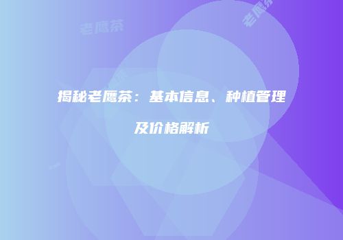 揭秘老鹰茶：基本信息、种植管理及价格解析
