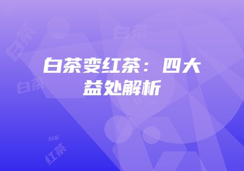 白茶变红茶：四大益处解析