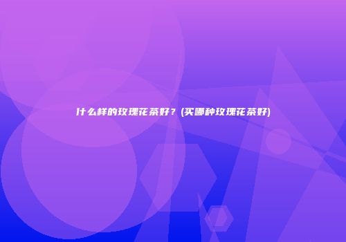 什么样的玫瑰花茶好？(买哪种玫瑰花茶好)
