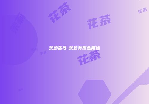 茉莉药性-茉莉有哪些用途