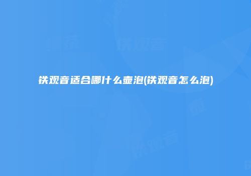 铁观音适合哪什么壶泡(铁观音怎么泡)