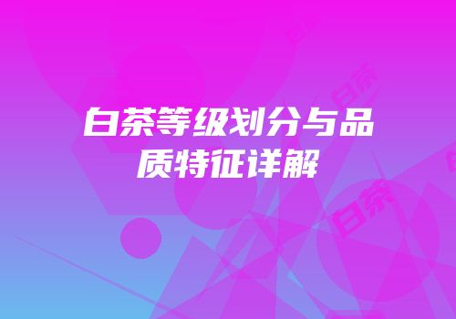 白茶等级划分与品质特征详解