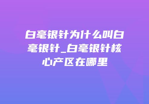 白毫银针为什么叫白毫银针_白毫银针核心产区在哪里