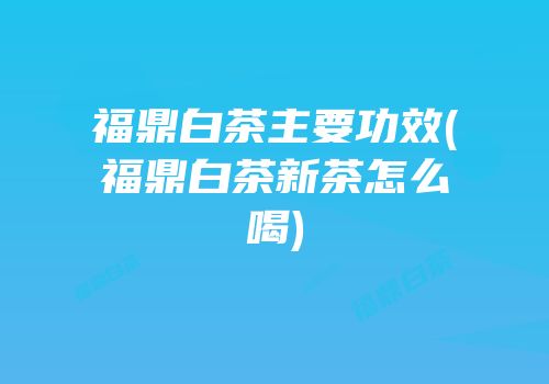 福鼎白茶主要功效(福鼎白茶新茶怎么喝)
