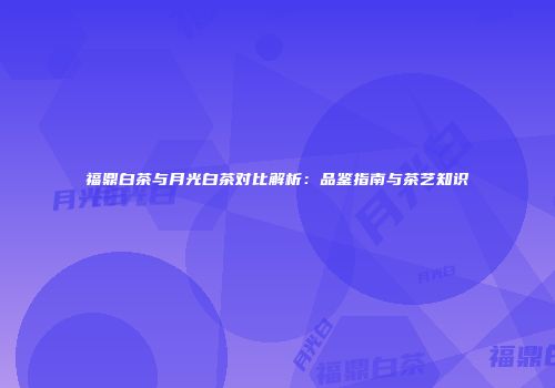 福鼎白茶与月光白茶对比解析：品鉴指南与茶艺知识