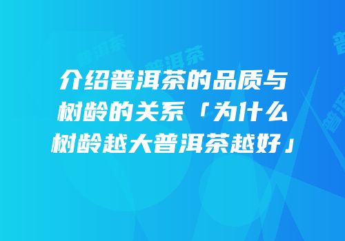 介绍普洱茶的品质与树龄的关系「为什么树龄越大普洱茶越好」