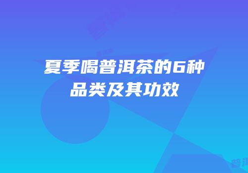 夏季喝普洱茶的6种品类及其功效
