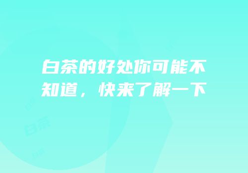 白茶的好处你可能不知道，快来了解一下
