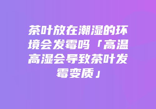 茶叶放在潮湿的环境会发霉吗「高温高湿会导致茶叶发霉变质」
