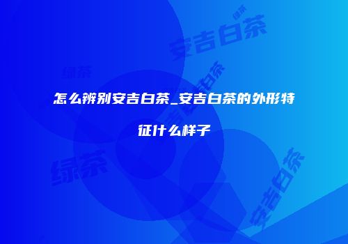 怎么辨别安吉白茶_安吉白茶的外形特征什么样子