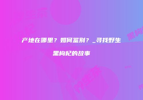 产地在哪里？如何鉴别？_寻找野生黑枸杞的故事