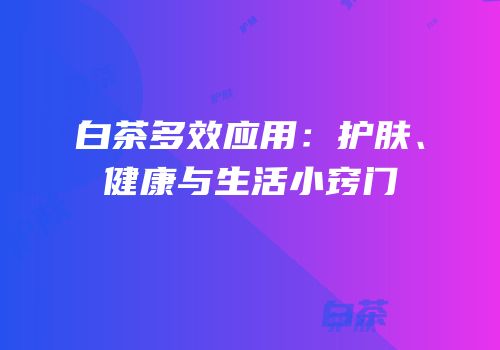 白茶多效应用：护肤、健康与生活小窍门