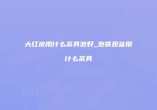 大红袍用什么茶具泡好_泡铁观音用什么茶具