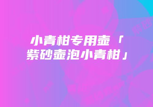 小青柑专用壶「紫砂壶泡小青柑」