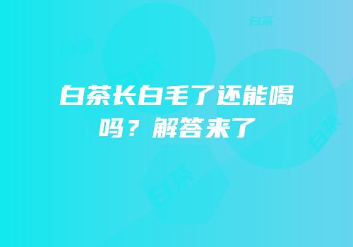 白茶长白毛了还能喝吗？解答来了