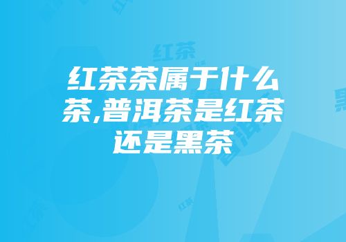 红茶茶属于什么茶,普洱茶是红茶还是黑茶