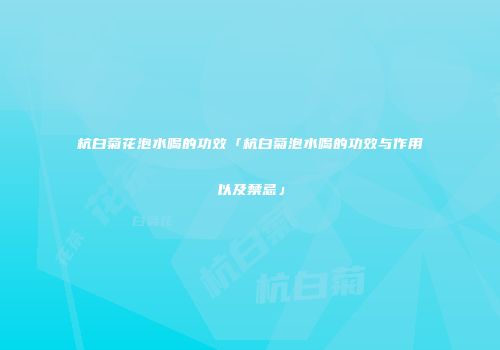杭白菊花泡水喝的功效「杭白菊泡水喝的功效与作用以及禁忌」