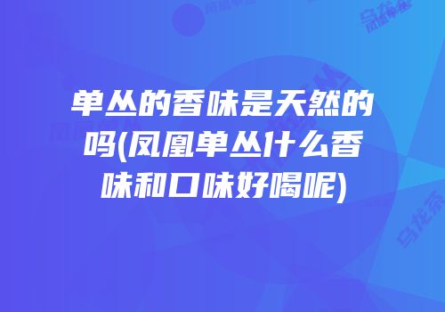 单丛的香味是天然的吗(凤凰单丛什么香味和口味好喝呢)