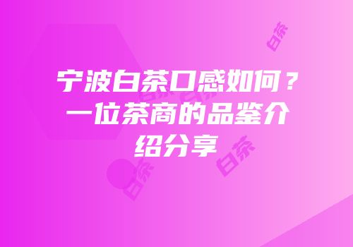宁波白茶口感如何？一位茶商的品鉴介绍分享