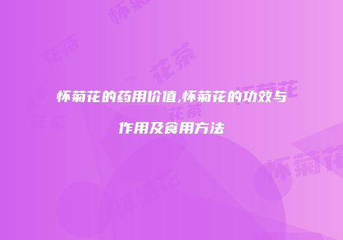 怀菊花的药用价值,怀菊花的功效与作用及食用方法