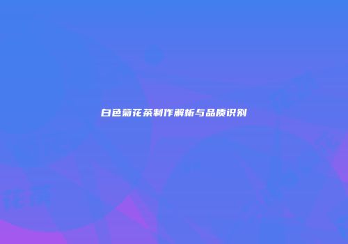 白色菊花茶制作解析与品质识别