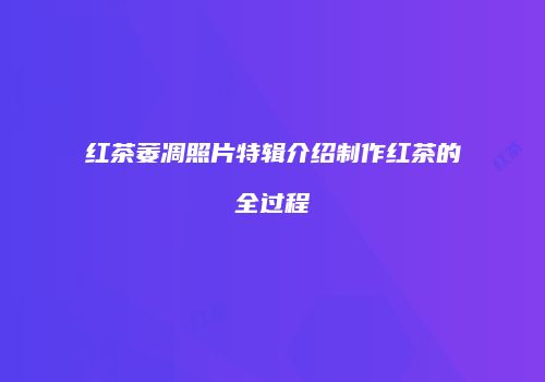 红茶萎凋照片特辑介绍制作红茶的全过程