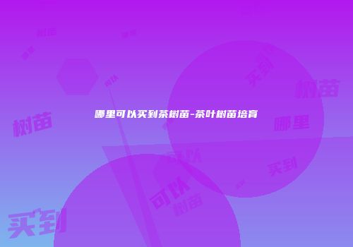 哪里可以买到茶树苗-茶叶树苗培育