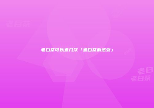 老白茶可以煮几次「煮白茶的感受」