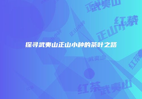 探寻武夷山正山小种的茶叶之路