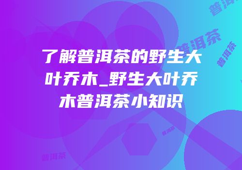 了解普洱茶的野生大叶乔木_野生大叶乔木普洱茶小知识