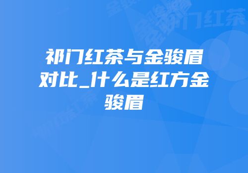 祁门红茶与金骏眉对比_什么是红方金骏眉