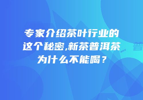 专家介绍茶叶行业的这个秘密,新茶普洱茶为什么不能喝？