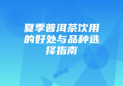 夏季普洱茶饮用的好处与品种选择指南