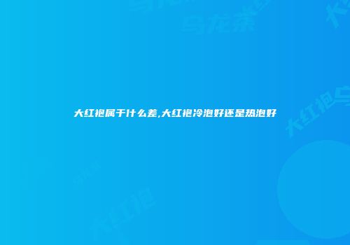 大红袍属于什么差,大红袍冷泡好还是热泡好
