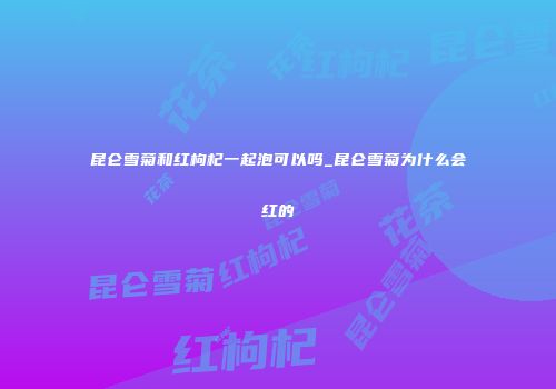 昆仑雪菊和红枸杞一起泡可以吗_昆仑雪菊为什么会红的