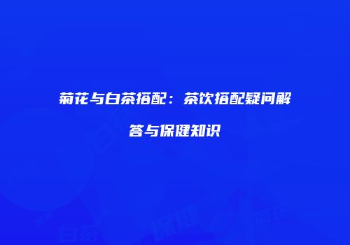 菊花与白茶搭配：茶饮搭配疑问解答与保健知识