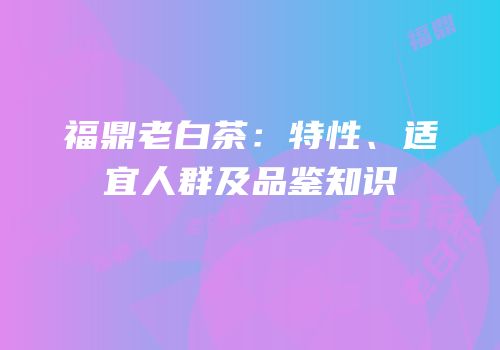 福鼎老白茶：特性、适宜人群及品鉴知识