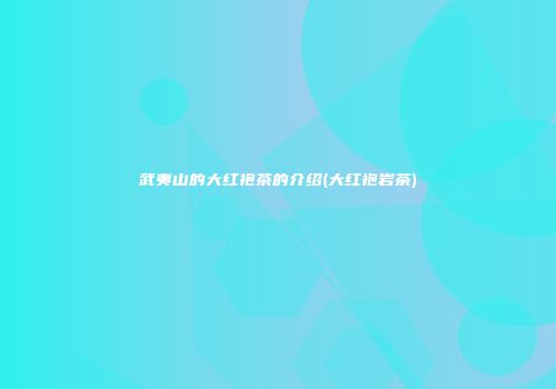 武夷山的大红袍茶的介绍(大红袍岩茶)