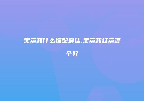 黑茶和什么搭配最佳,黑茶和红茶哪个好