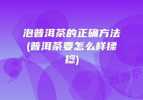 泡普洱茶的正确方法(普洱茶要怎么样揉捻)